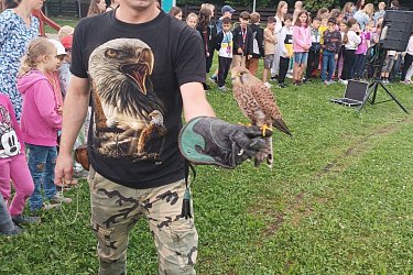 Obrázek č.11